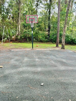 Un terrain de basket avec un panier et un filet, entouré d’arbres et de verdure.