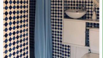 Shower, towels, toilet paper