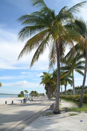 Playa