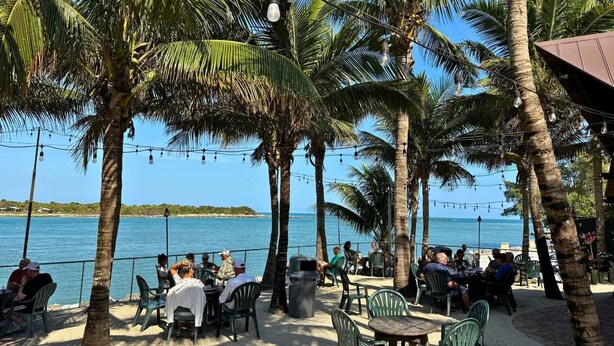 En café ved stranden med udendørs siddepladser, palmer og havudsigt.