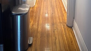 Interior - 2BR Apt near Downtown and in the Park Avenue area with W/D Parking and Porches (Rochester)