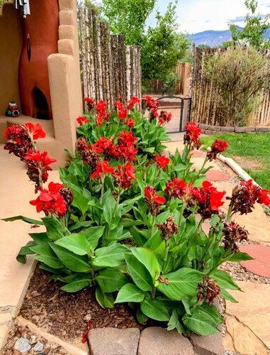 10min to Albuquerque Balloon Park-Corrales Oasis, 3-night minimum booking!