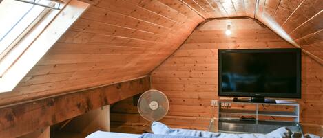 Fernseher