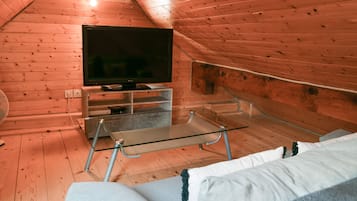 Televisie