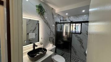 Shower, hair dryer, bidet, towels