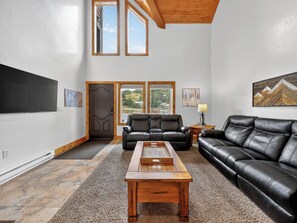 Smart TV, fireplace, books