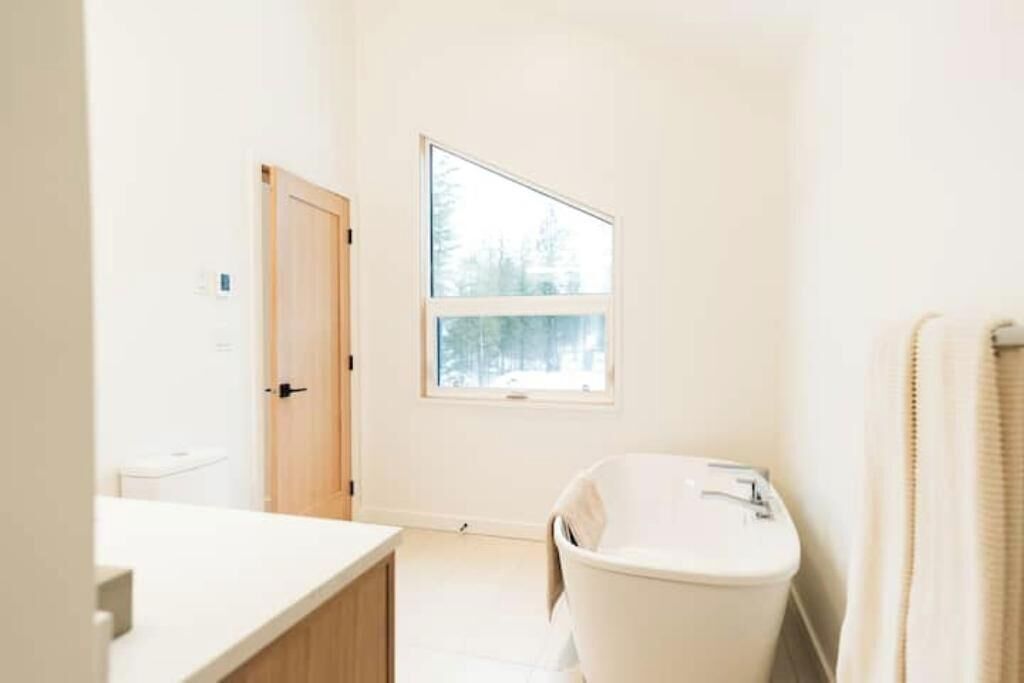 Hair dryer, towels, toilet paper