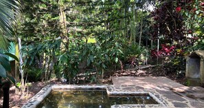 Property grounds - Hotel Termales La Montaña (Ahuachapán)