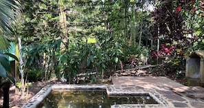 Häämatkahuone, 1 suuri parisänky, näköala puutarhaan, puutarha-alue | Ulkoalueet