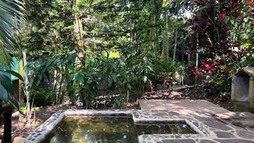 Habitación de luna de miel, 1 cama King size, vista al jardín, en el área del jardín | Ropa de cama de alta calidad, edredón, minibar y escritorio