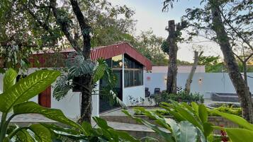 Apartment | Property grounds