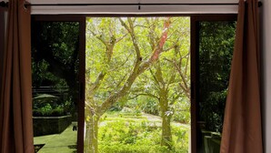 A window with a view of a lush garden, a stone pathway, and a small white object on the ground. - Hotel Termales La Montaña (Ahuachapán)