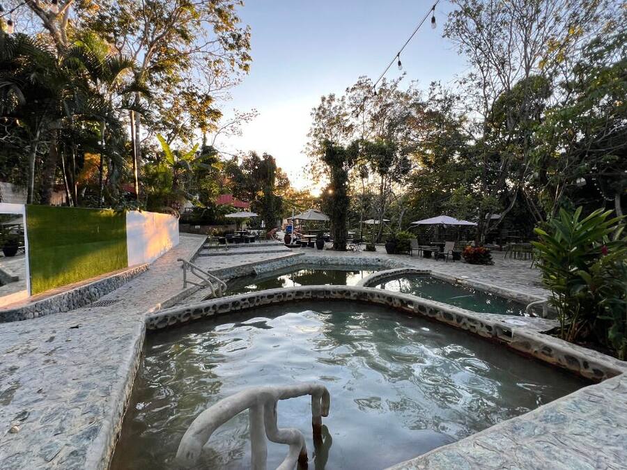 Un espacio exterior tranquilo con una fuente central, senderos de piedra y abundante vegetación.