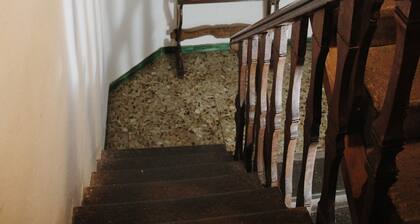 Cozy home for groups of friends or family with pets allowed!