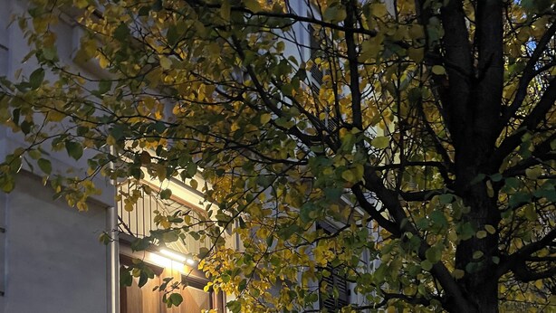 A building with a large wooden door and a small window, surrounded by trees and fallen leaves.