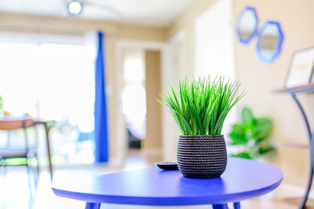 A potted plant on a round table in a well-lit indoor space with a blue chair and a remote control on the table.