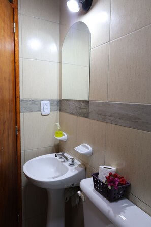 Shower, bidet, towels, toilet paper