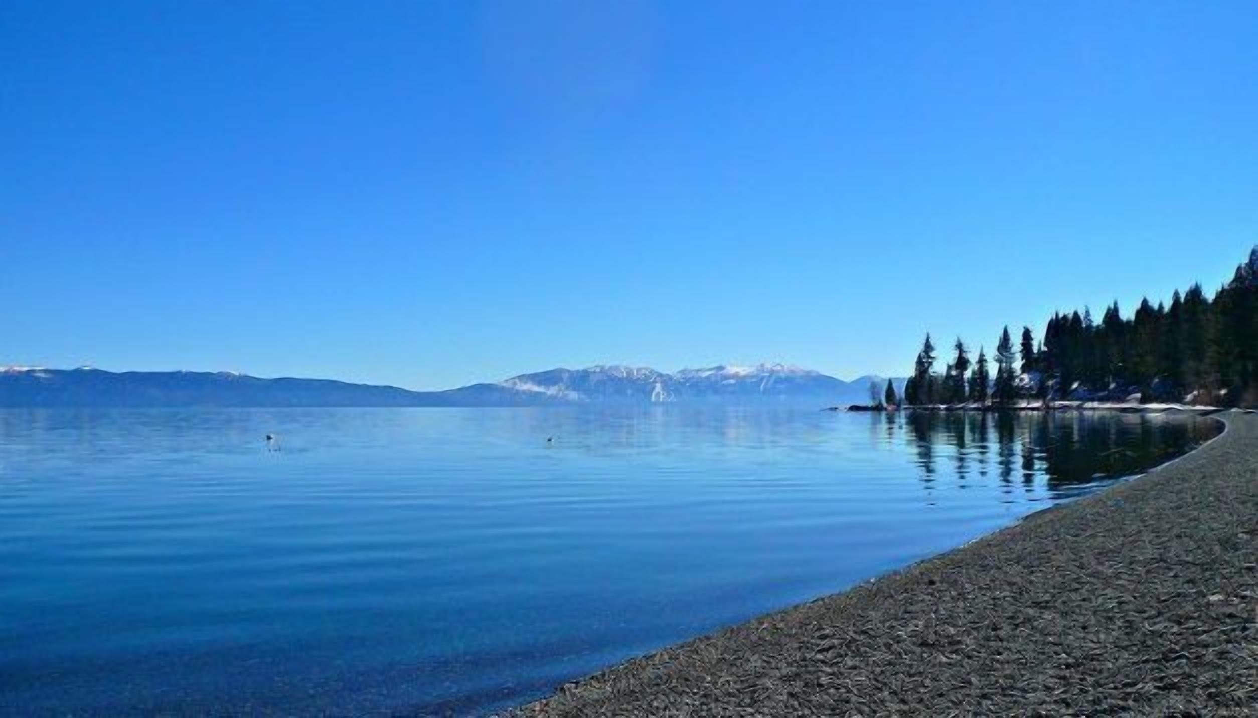 Un lago tranquilo con una playa de guijarros y un área boscosa al fondo.