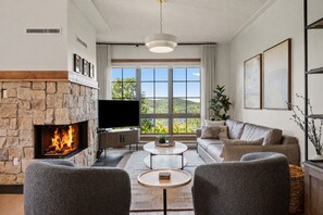 Smart TV, fireplace, stereo