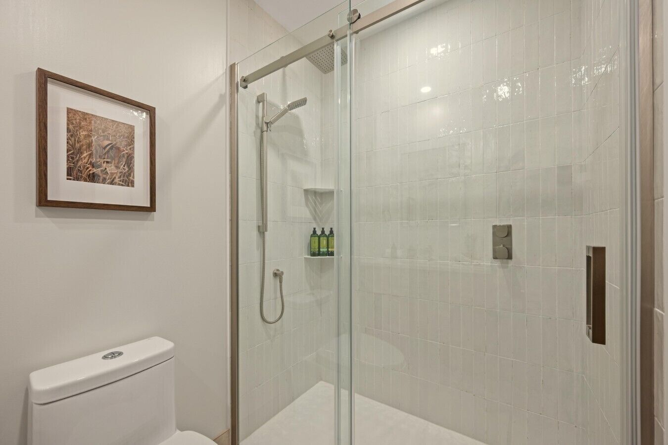 Une salle de bain moderne avec une douche à parois de verre, des toilettes et un tableau encadré au mur.
