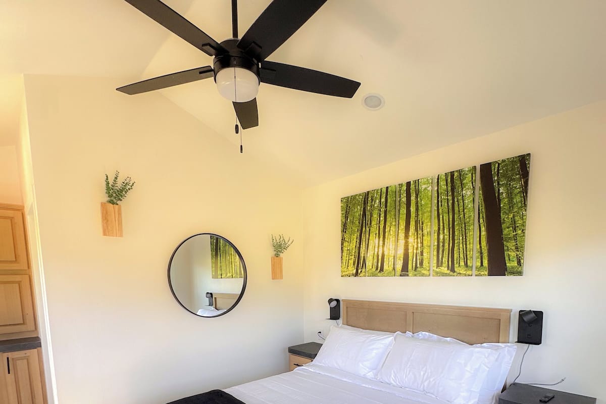 A bedroom with a bed, a bedside table, a nightstand, a ceiling fan, a mirror, and a wall-mounted plant.