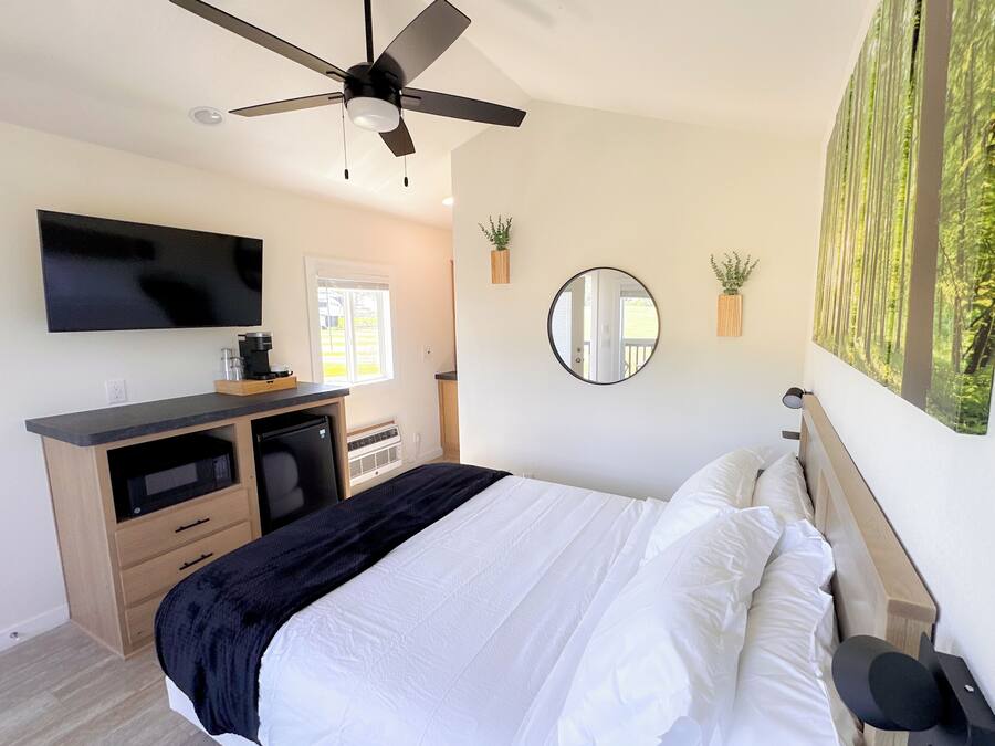 Un dormitorio con una cama, un ventilador de techo, un televisor, una ventana, un espejo y una planta fijada a la pared.