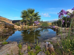 Property grounds - Shangri-lá (tree of life) Villas (Tefía)