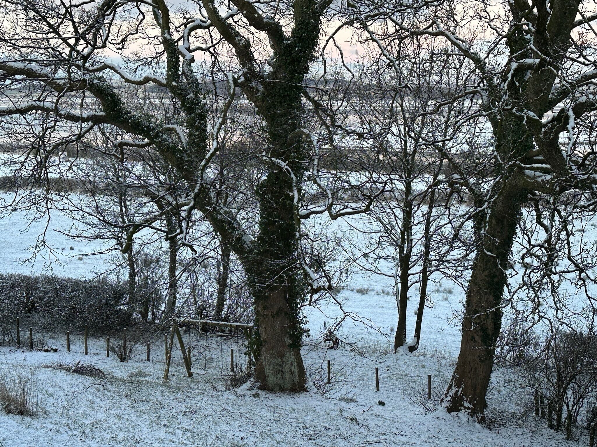 Eine verschneite Landschaft mit kahlen Bäumen und einem Zaun im Vordergrund.