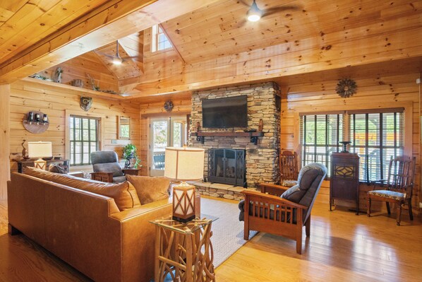 Smart TV, fireplace, DVD player, books