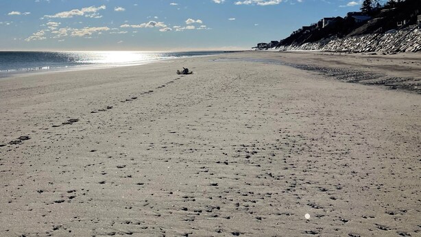 A wide sandy beach with footprints leading towards the ocean, under a clear sky with scattered clouds. - Charming Cabin 500 feet to beach (Plymouth)