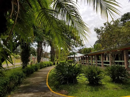 Áreas de la propiedad. Hotel Estancia del Bosque