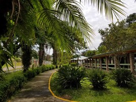 Uma trilha conduz a um edifício com fachada de tijolos e área coberta.