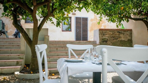 An outdoor dining area with white chairs and a table set for two, under a tree.