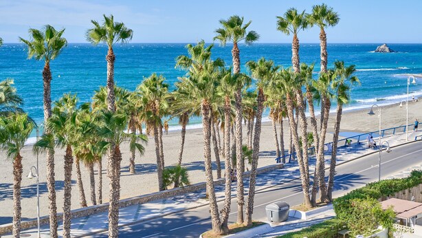 A beach with palm trees, a road, and a clear blue sky. - Apartment 'Góndolas Costa Tropical' with Sea View, Wi-Fi and Air Conditioning (ALMUÑECAR)