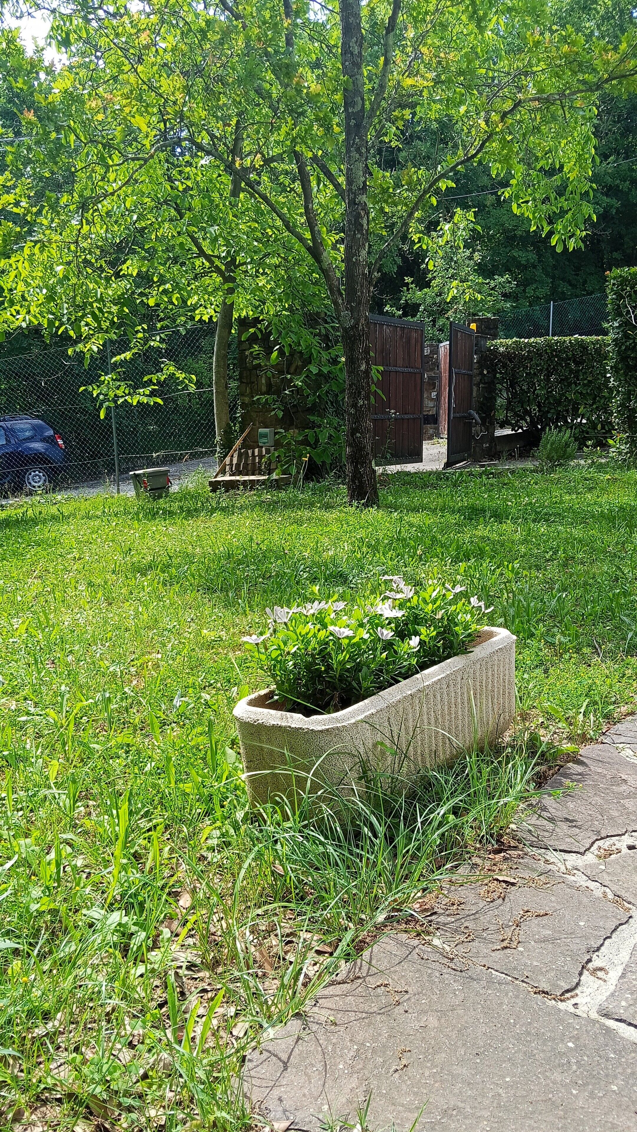 Une zone herbeuse avec un bac à fleurs en béton, une clôture et des arbres.