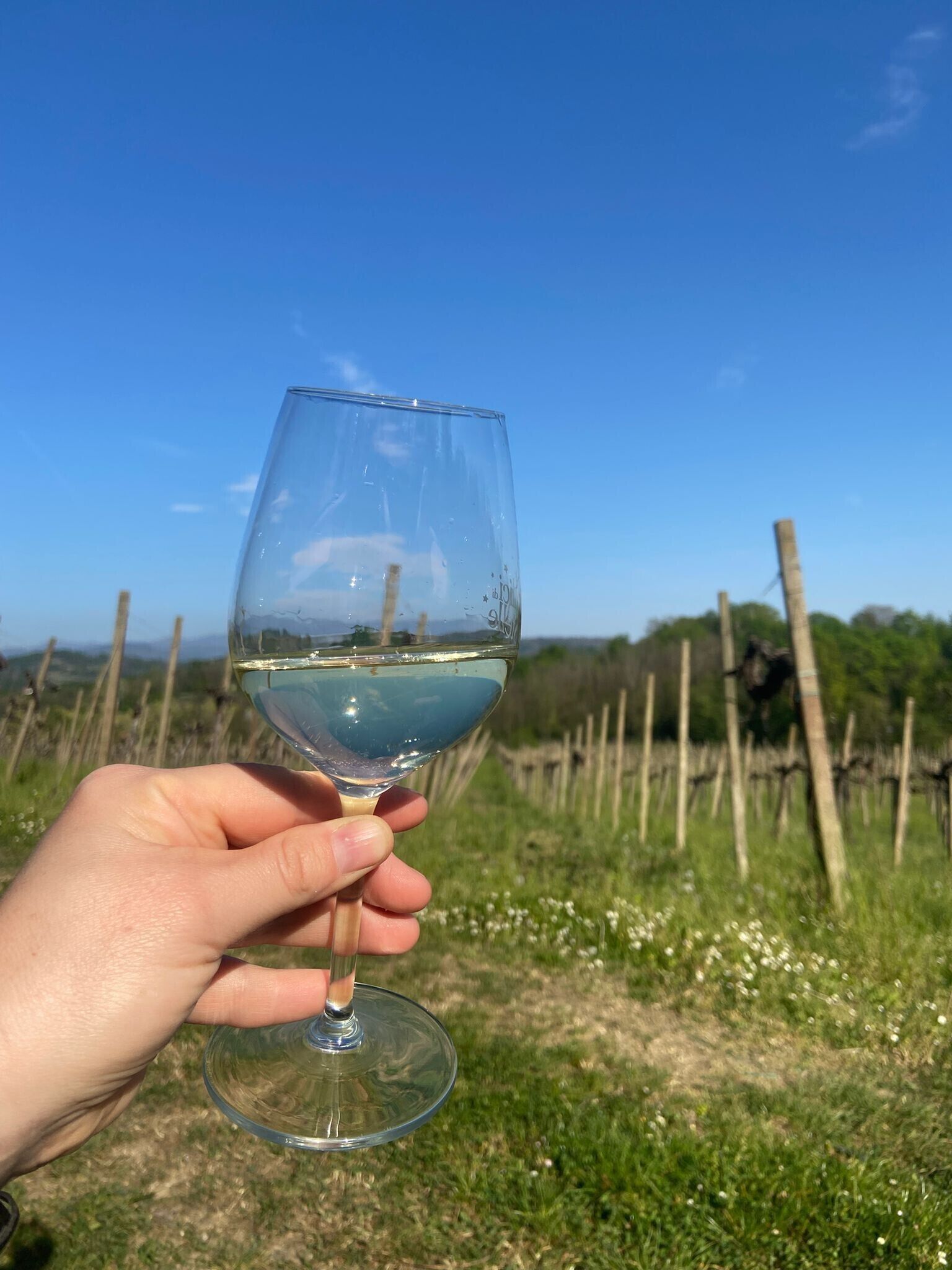 Uma mão segurando uma taça de vinho com líquido transparente, emoldurada por uma paisagem rural com cerca e vegetação.