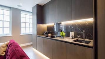 Apartment | 2 bilik tidur, Internet