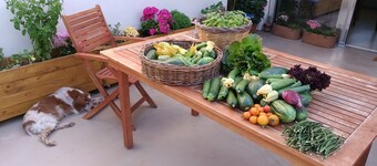 Giardino del Tempo