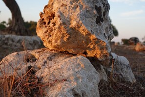 A large rock formation with a rough texture and uneven surface, surrounded by smaller rocks and sparse vegetation. - Giardino del Tempo (Lizzanello)