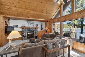 TV, fireplace, books