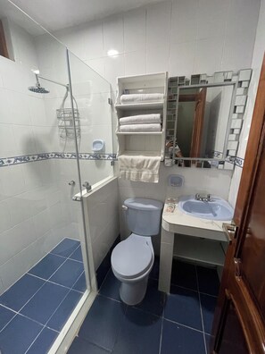 Hair dryer, towels, soap, toilet paper