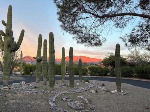Saguaros and Sunsets in the heart of Tucson