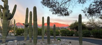 Saguaros and Sunsets in the heart of Tucson