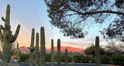 Saguaros and Sunsets in the heart of Tucson