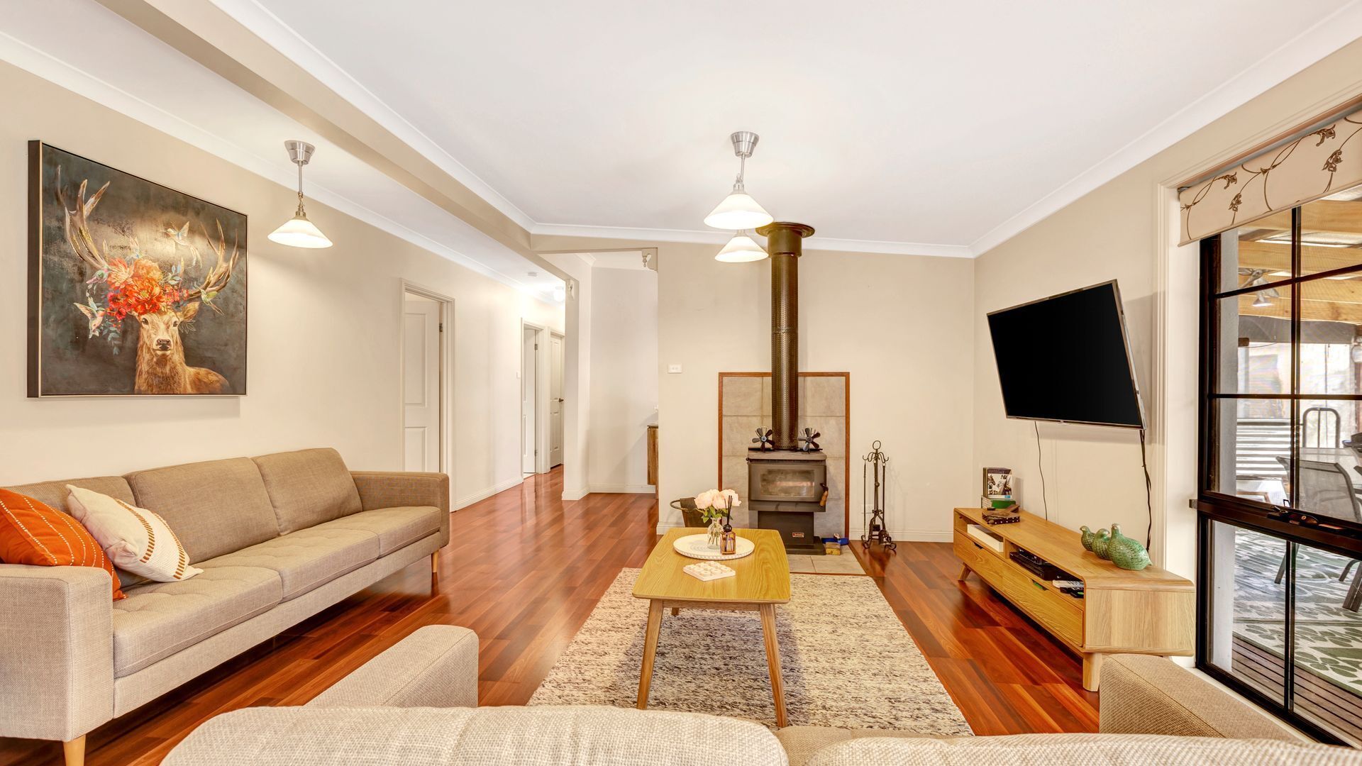 TV, lareira, DVD player