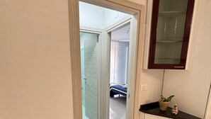 Um corredor com uma porta de acesso a um banheiro, um armário pequeno com espelho e um vaso de planta.