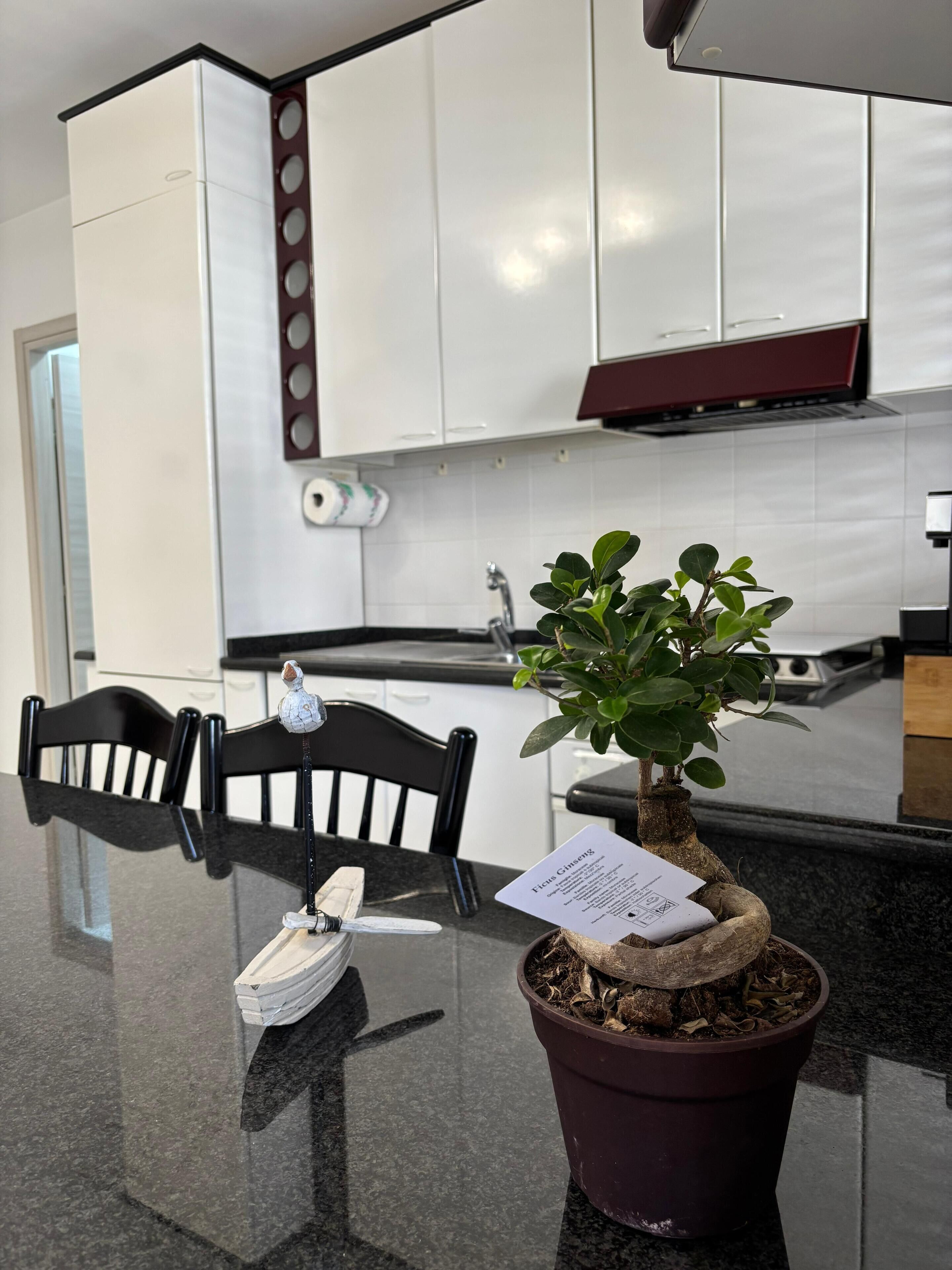 Microwave, oven, stovetop