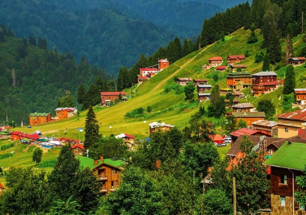 A hillside village with traditional wooden houses, some with red roofs, and a mix of single and multi-story buildings. - Yeşil Düş Bungalov (Findikli)