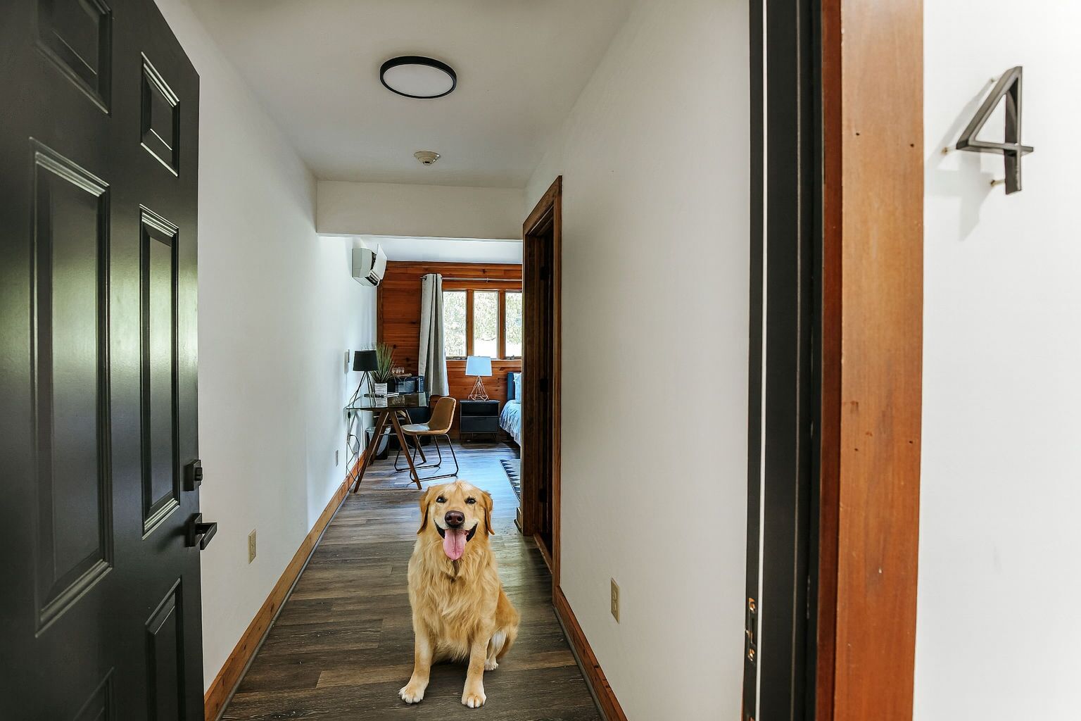 A hallway with a wooden floor, a dog, and a door with the number 4.