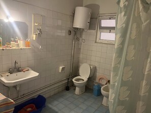 Jetted bath, towels, soap, toilet paper